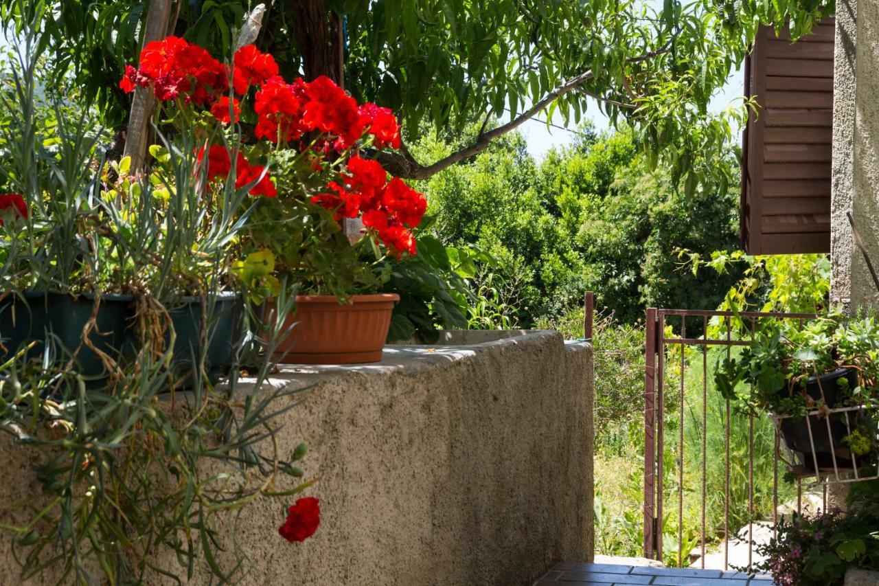 Apartman Corino Veli Losinj Exterior photo